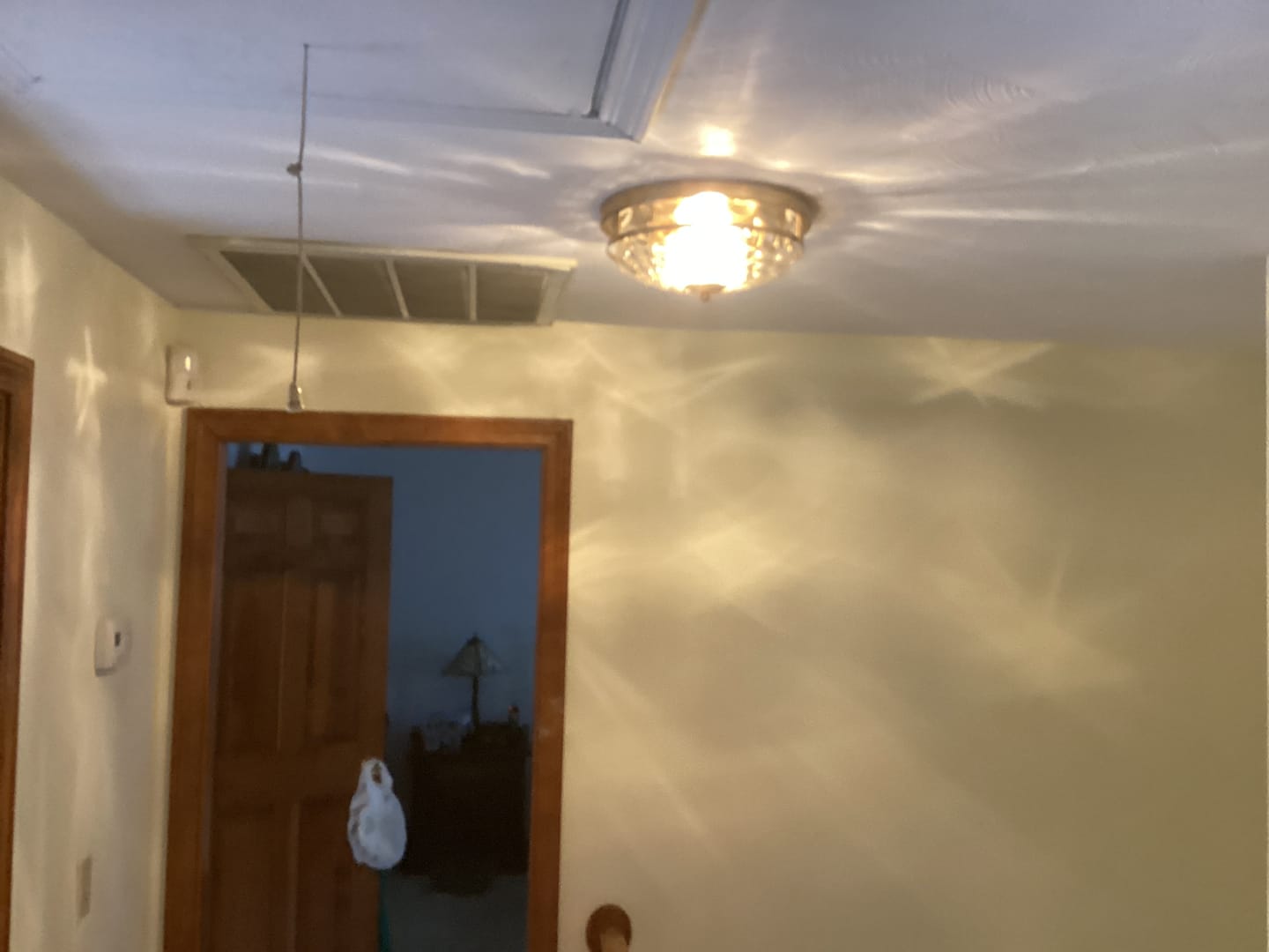 Customer photo review of Modern 2-Light Rippled Glass Flush Mount Ceiling Light