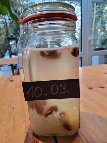 Customer photo review of BIO Wasserkefir-Erlebnisset: Kristalle & Komplettzubehör für Einsteiger