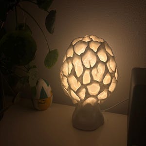 Customer photo review of Pilz Lampenschirm: Morchel Pilz