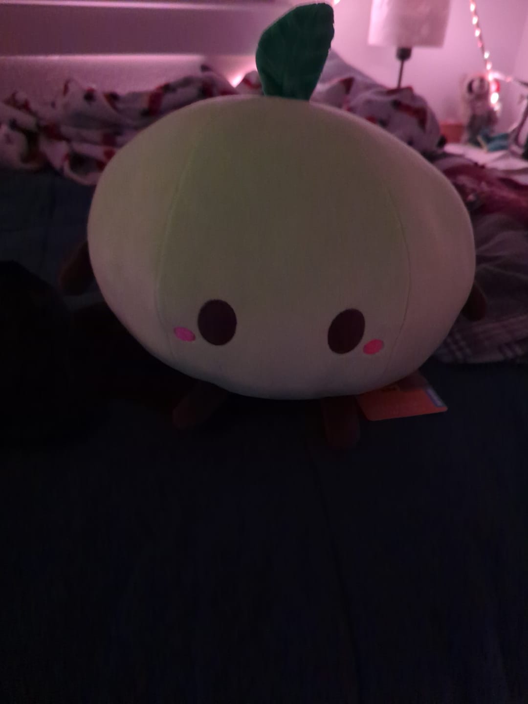 Customer photo review of Stardew Valley - Green Junimo Pillow Plush