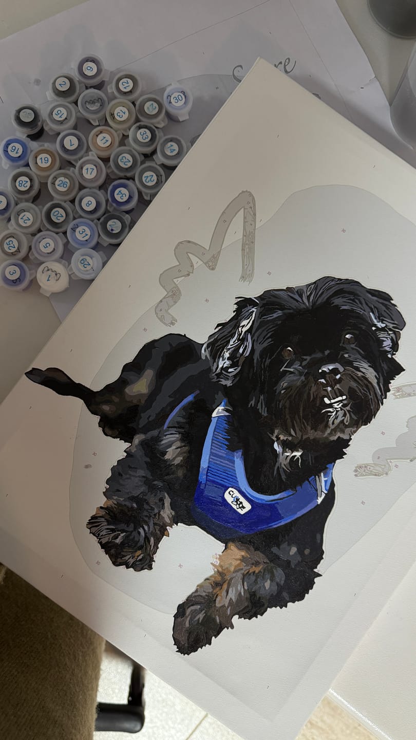Customer photo review of Pintar por números personalizado | Pinta a tu Mascota | Cuadro personalizado