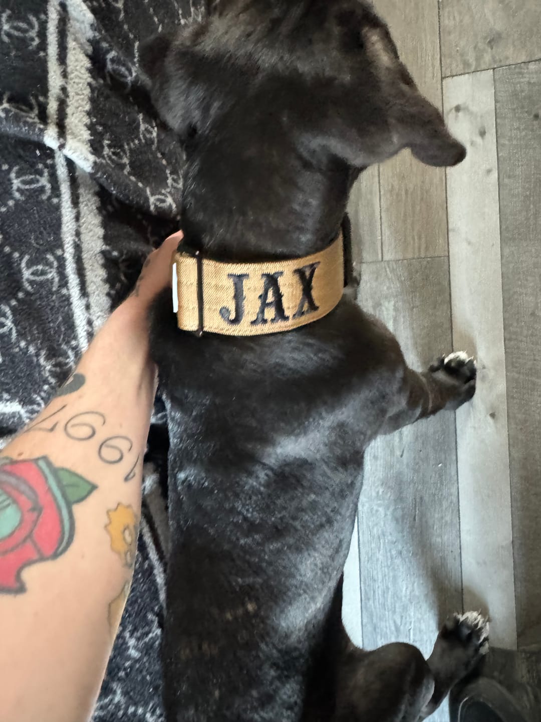 Customer photo review of 5cm Combat® Collar | With Handle & Secure Clip - Tan