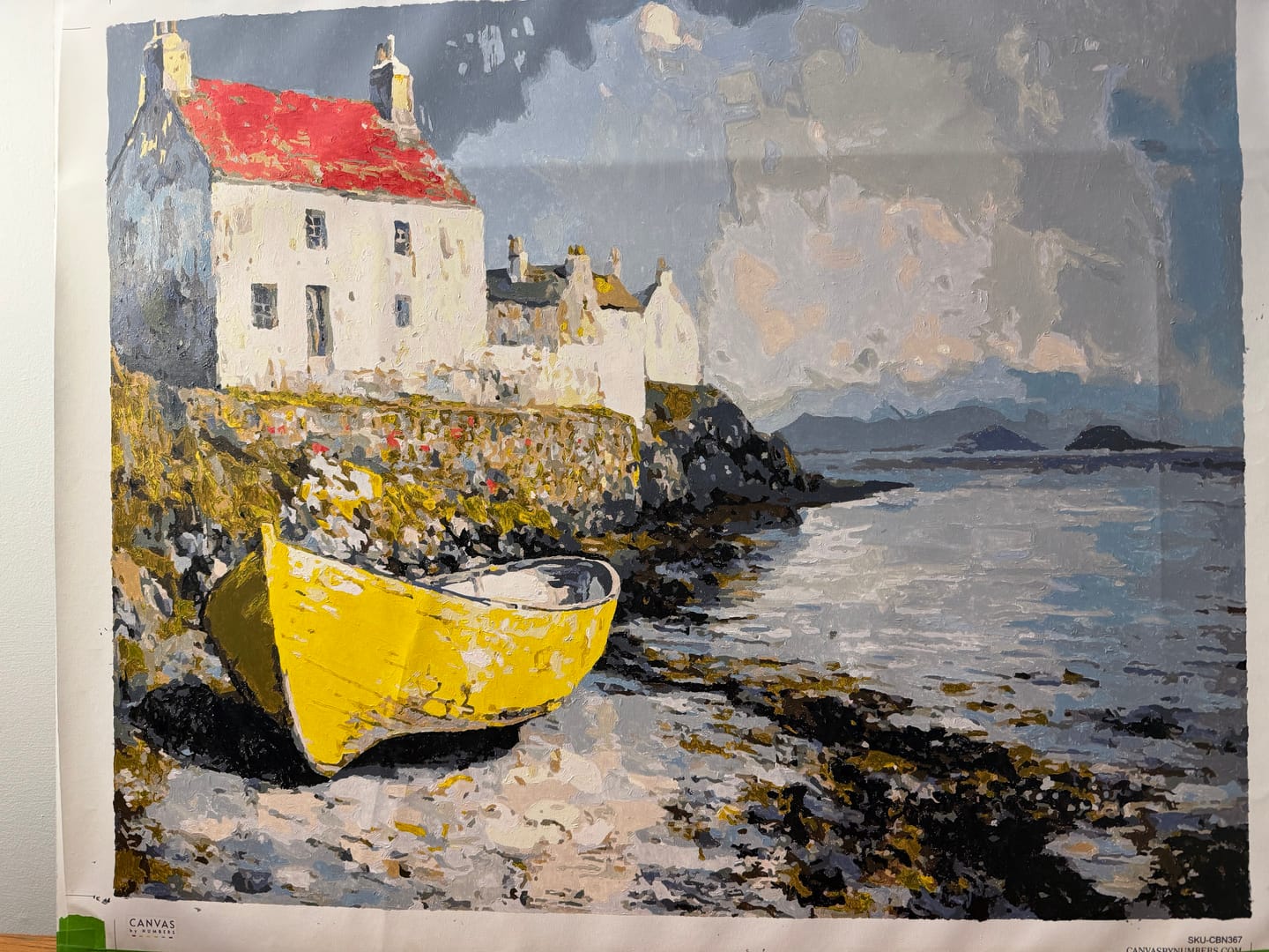 Customer photo review of Extra Paint Kit to Elevate Paint by Numbers Experience