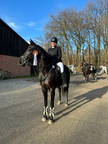 Customer photo review of Strotonin Horse Support