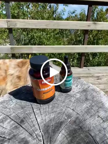 Customer video review of Pack Energía y Focus