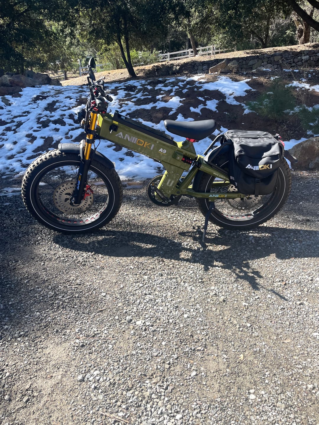 Customer photo review of 2025 Upgraded A9 Pro Max Dual Motor Ebike