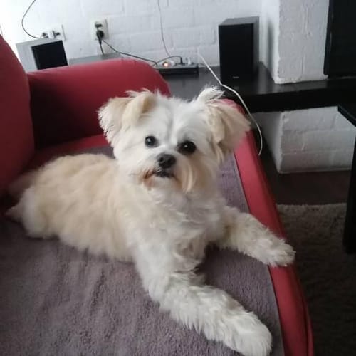 Customer photo review of Multi Vital