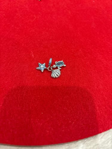 S. T. review of 925 Sterling Silver Ocean Turtle Charm image 1 out of 1