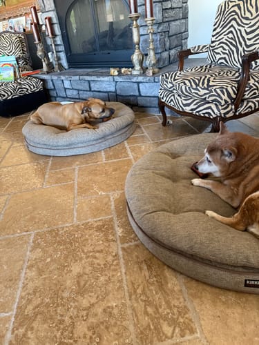 Customer photo review of Medium Dog Valentine's Day Love Bundle (Your 12oz Jerky+4 Med Bones)