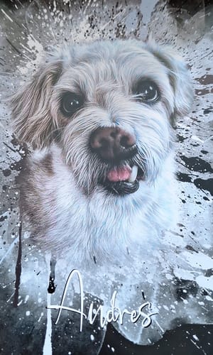 Customer photo review of Graffiti Pawtrait