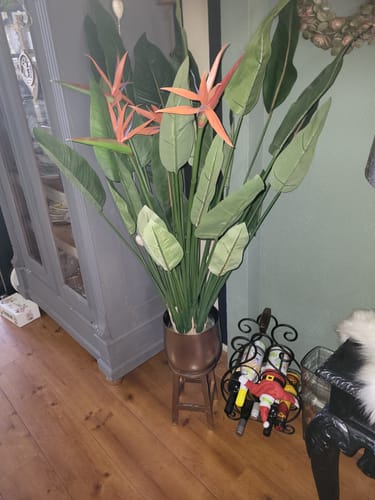 Customer photo review of Strelitzia Kunstplant 120cm met bloem