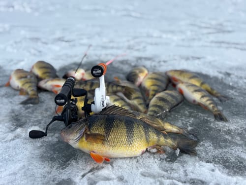 Customer photo review of Custom Carbon Ice Rod