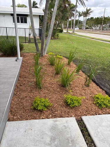 Customer photo review of Mulch