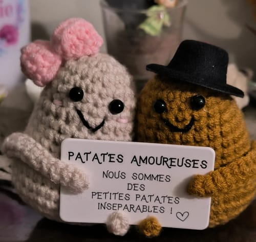 Customer photo review of PATATE POSITIVE