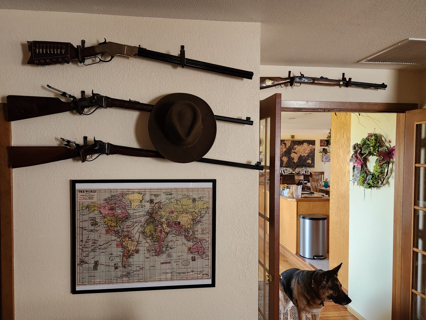 Customer photo review of Gun Hooks
