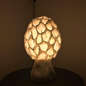 Customer photo review of Pilz Lampenschirm: Morchel Pilz