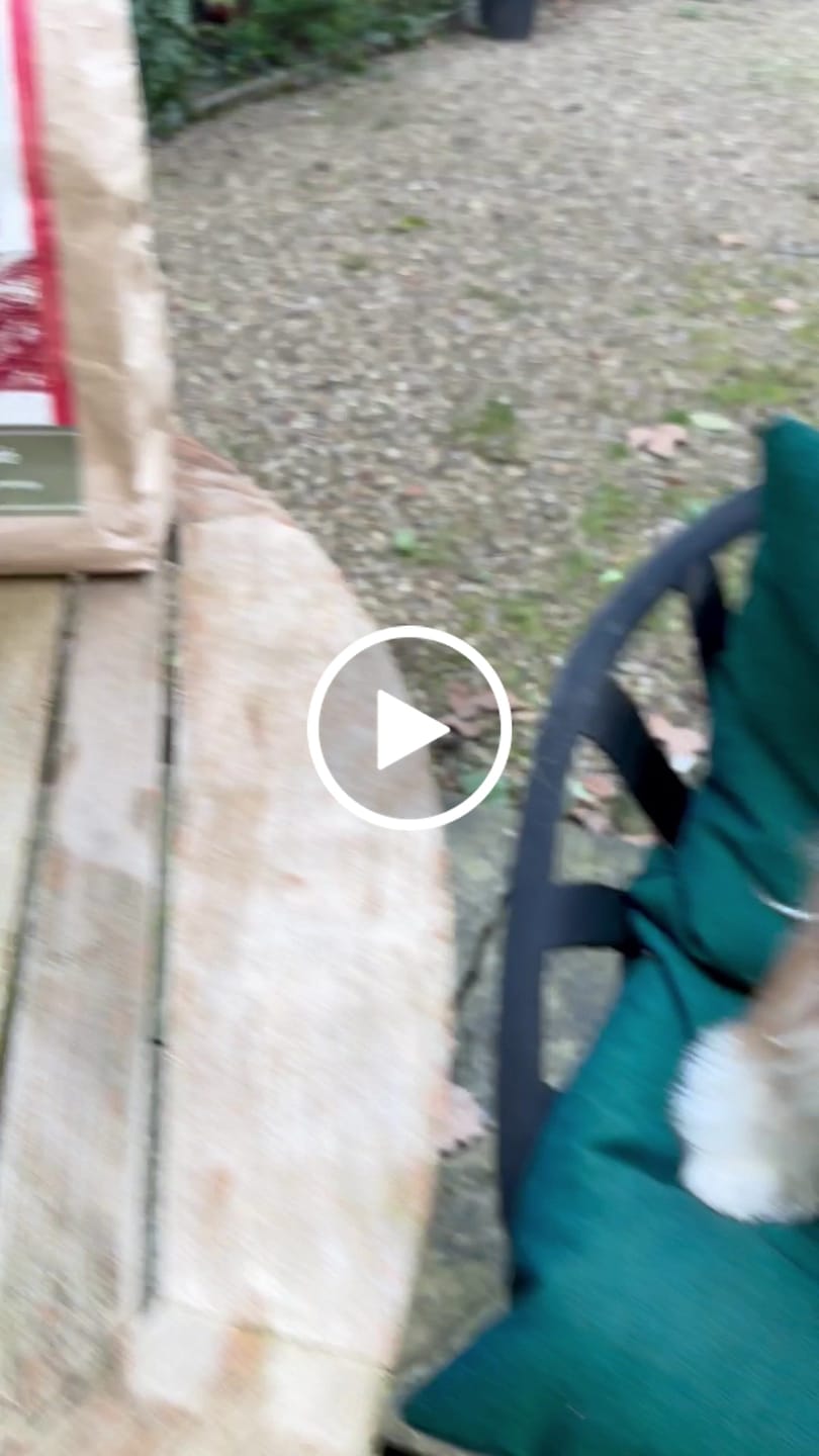 Customer video review of Welsh Lamb Dry Food