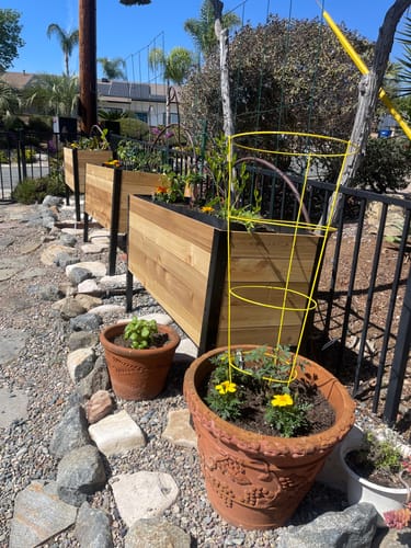 Customer photo review of 18" x 48" Raised Garden Bed