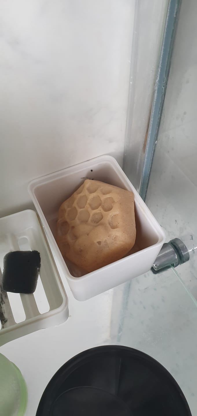 Customer photo review of Extra Gentle Baobab Shampoo Bar for Curly Hair