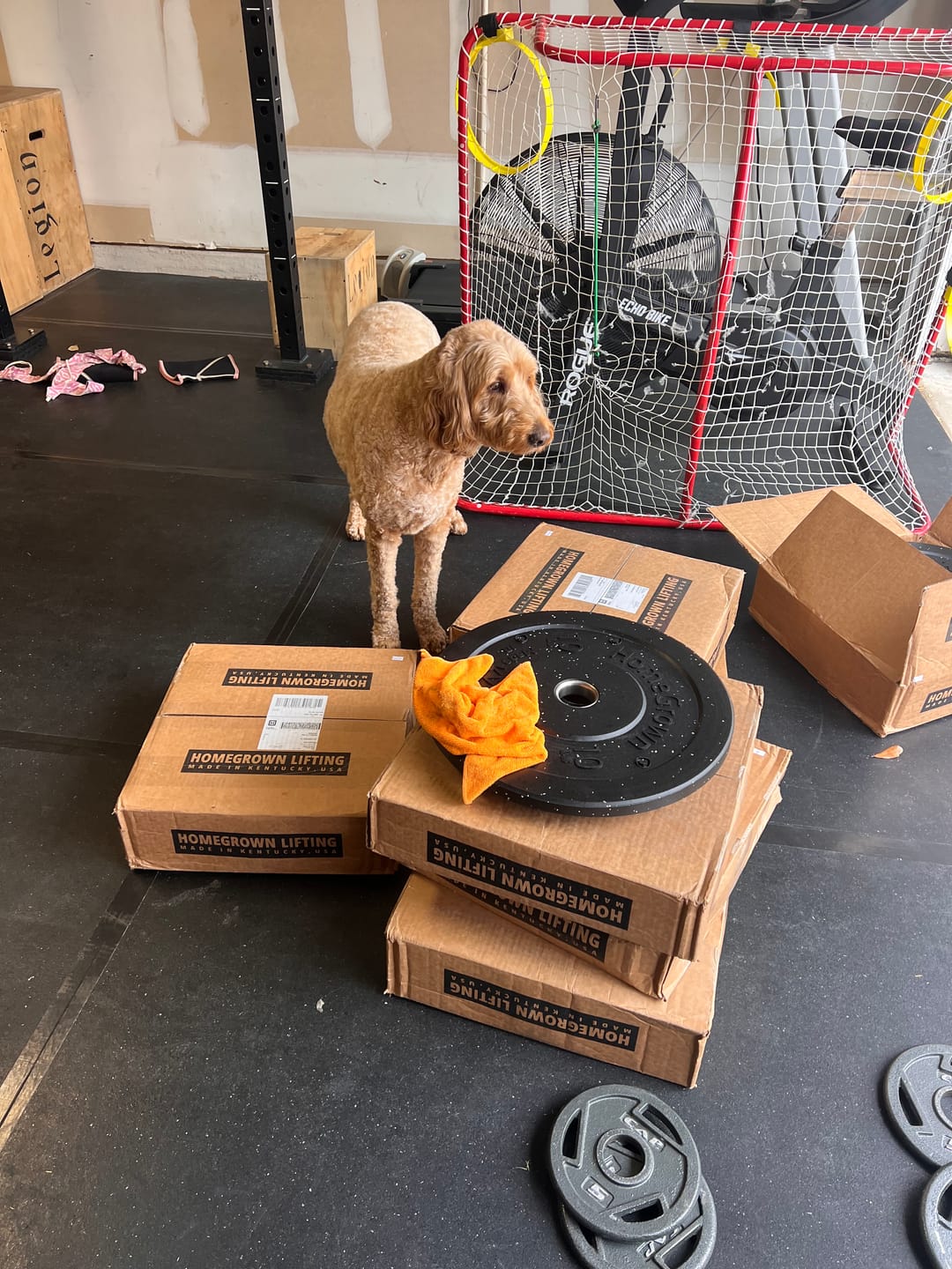 Customer photo review of URA-MAX Plate Pairs