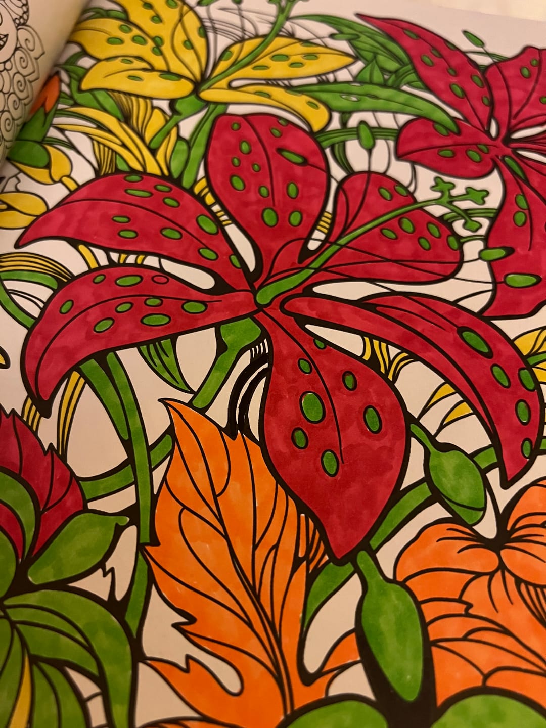 Customer photo review of Ohuhu Honolulu 6 Colors Dual Tips Alcohol Art Markers