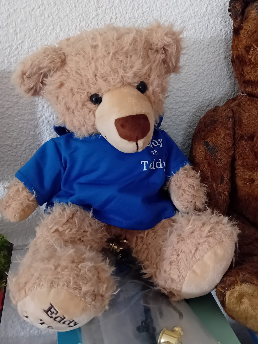 Customer photo review of Eddy The Teddy Bear