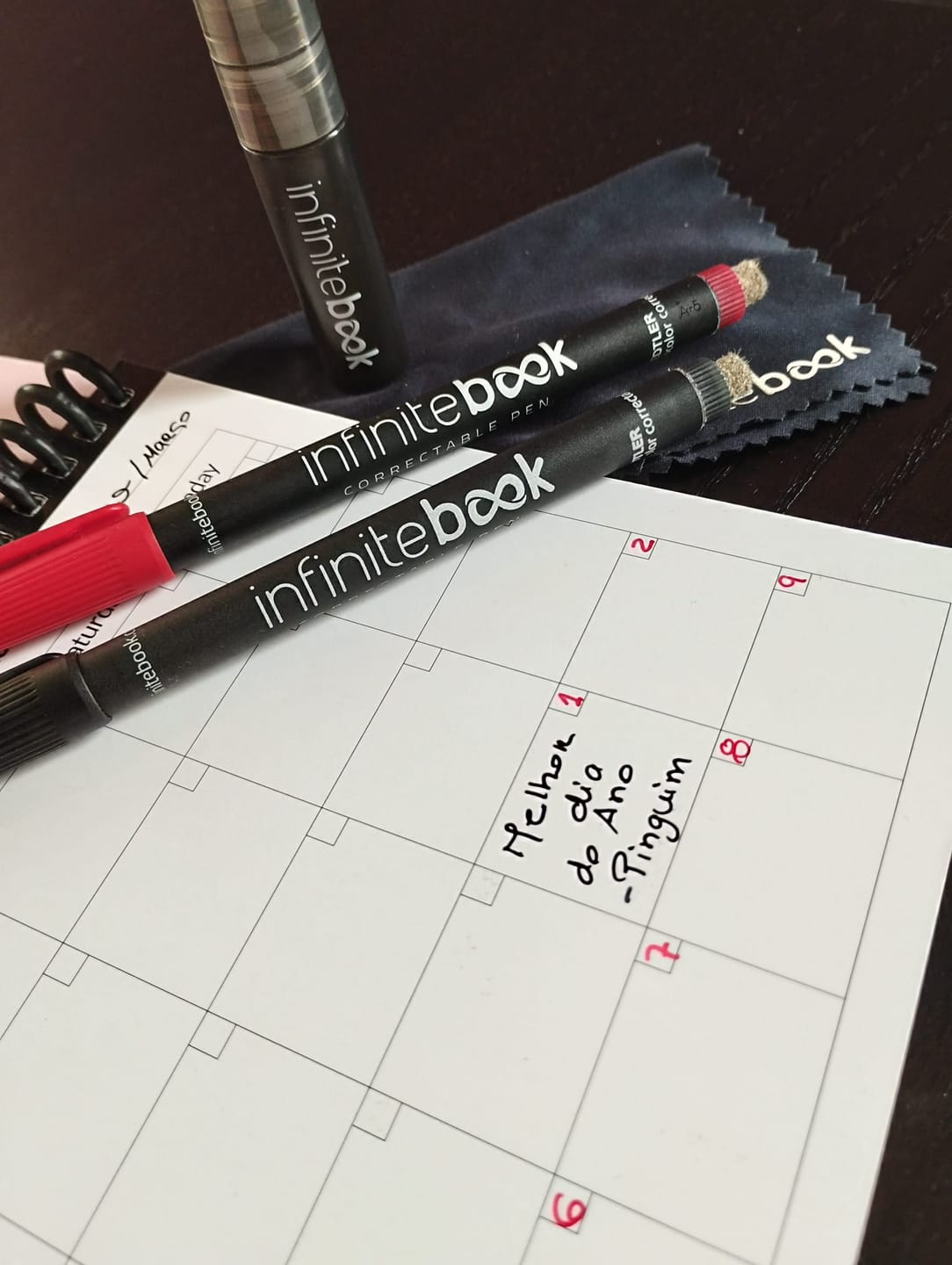 Customer photo review of Pack of 5 monthly planner A5 sheets