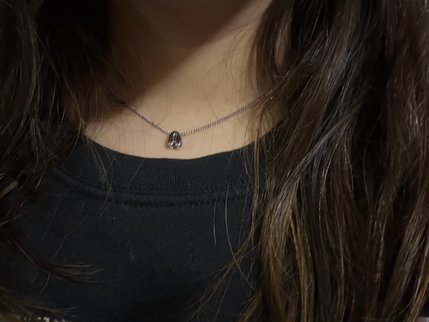 Customer photo review of Collar Plateado Mini Inicial Bubble