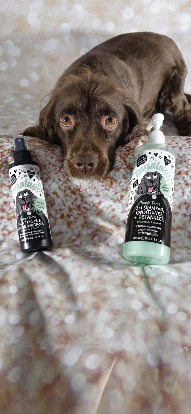 Customer photo review of 2 in 1 Detangler & Leave in Conditioner with Avocado & Coconut for Dogs