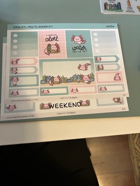 Customer photo review of Happy Axolotl Mini Planner Kit (Set of 2)