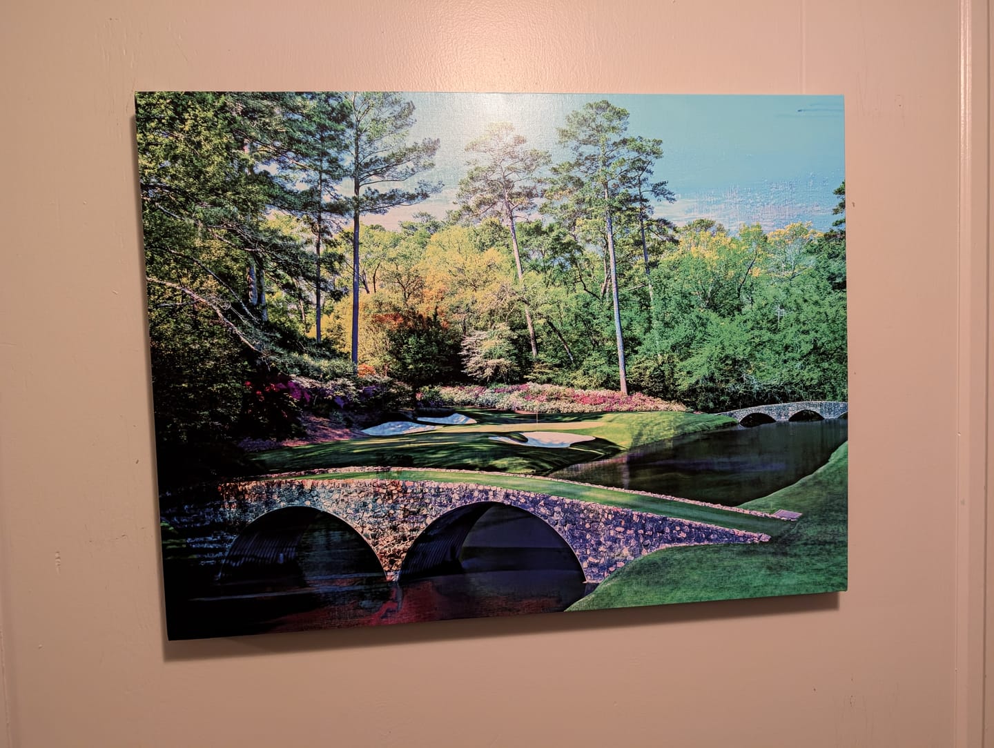 Customer photo review of Augusta National Abstract Wall Art