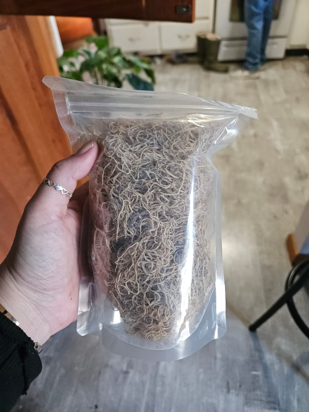 Customer photo review of Jamaican Gold Sea Moss (Thin Spaghetti) Wildcrafted, Dr Sebi Alkaline Vegan approved