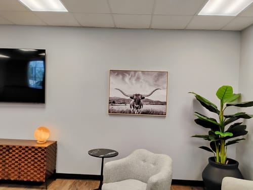 Customer photo review of Longhorn Cow Wall Art Canvas Print Farmhouse Wall Art Texas longhorn wall art