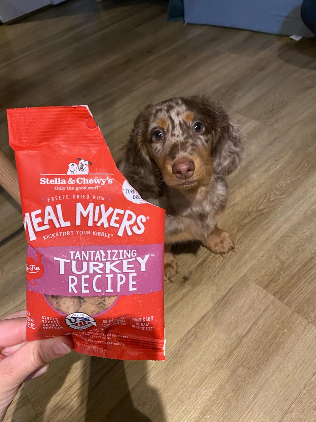 Customer photo review of Stella & Chewy - Meal Mixers Nourriture variée pour chien