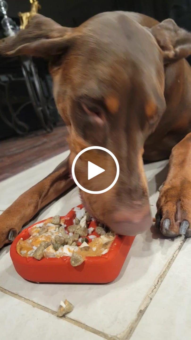 Customer video review of FreezHeart - Durable Heart Enrichment Chew
