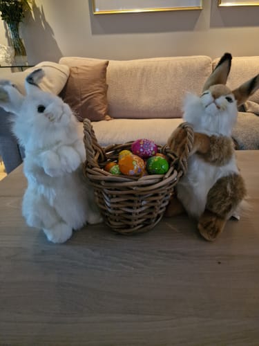 Customer photo review of White Rabbit Plush | Hansa Creation