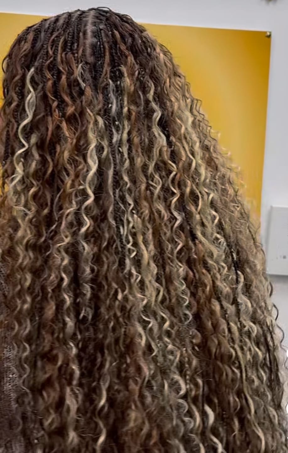 Customer photo review of Multi-Color Bulk Human Braiding Hair Set Deep Wave