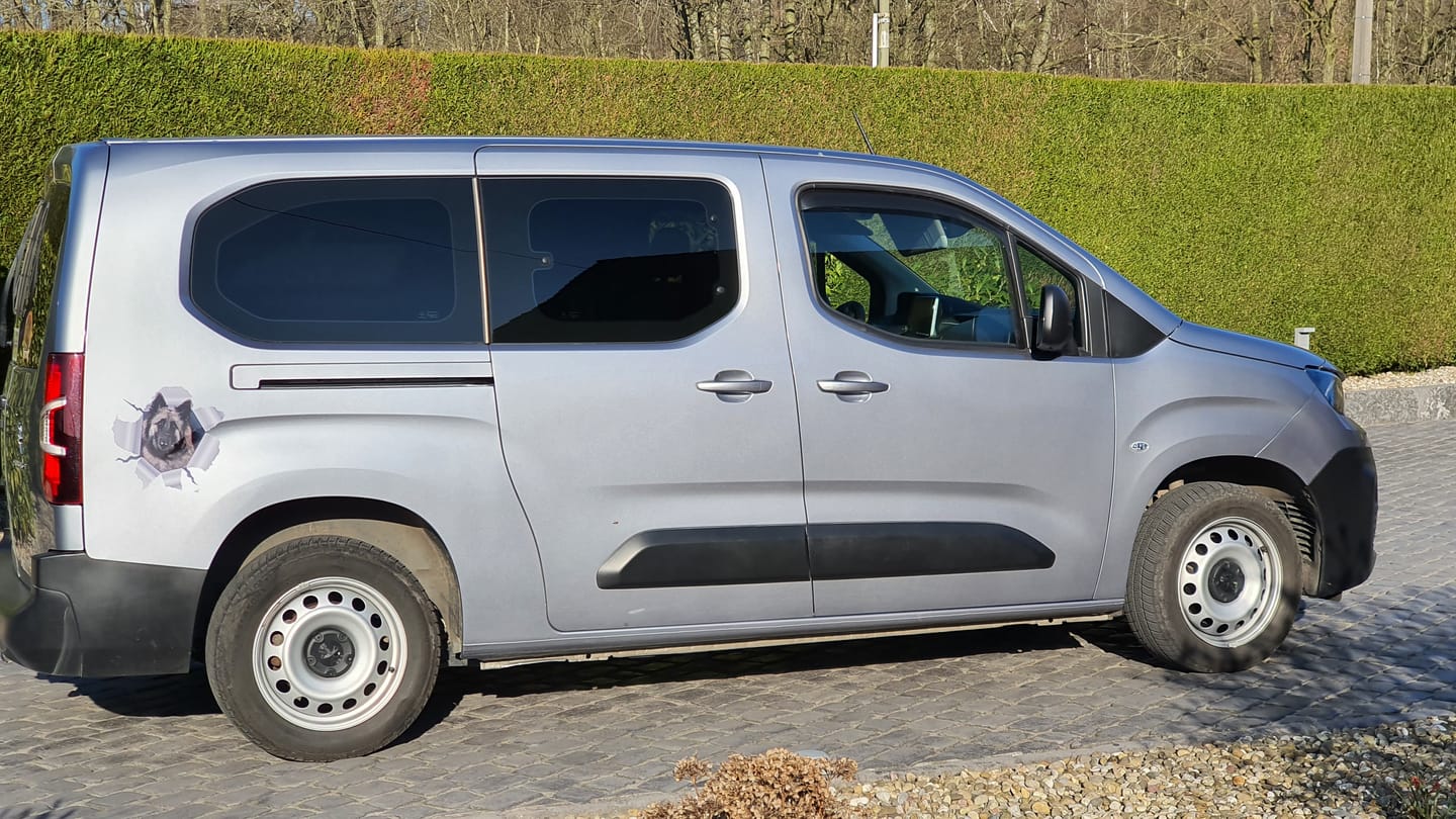Customer photo review of Photo animal curieux - Autocollant pour voiture personnalisé