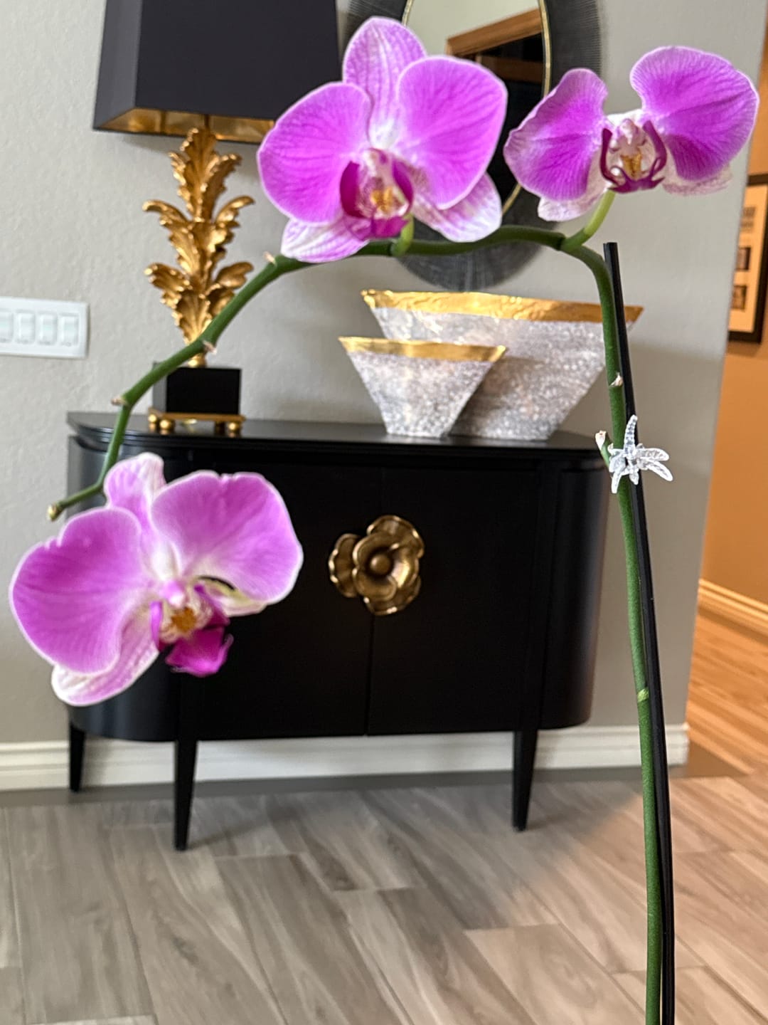 Customer photo review of Orchid Mist