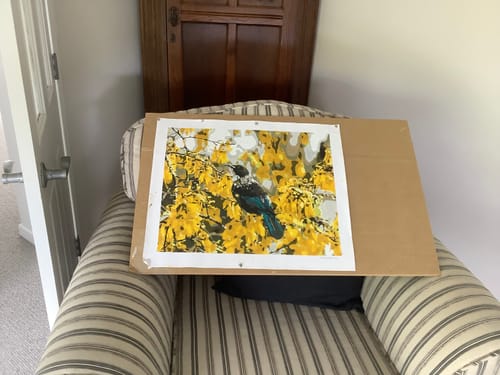 Customer photo review of Tui in Kowhai Tree