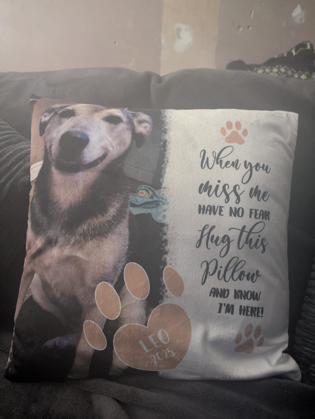 Customer photo review of When you miss me - Personalised Pillow