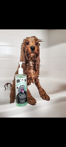 Customer photo review of 3 in 1 Tangle Tame Dog Shampoo, Conditioner & Detangler