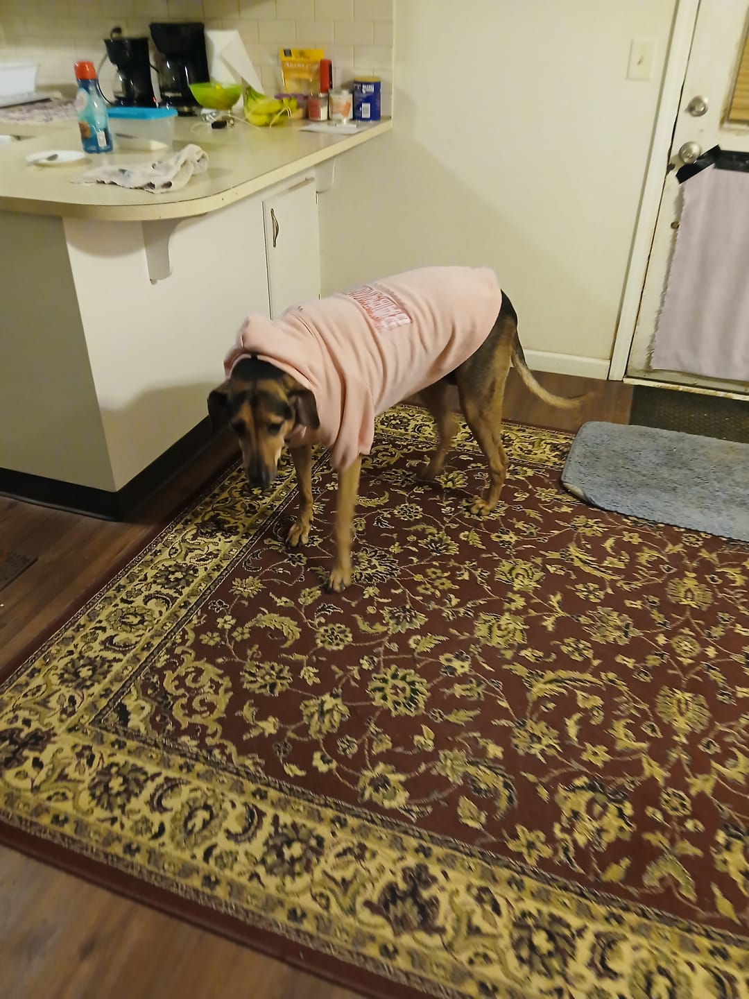 Customer photo review of Personalised Thrasher Font Dog Hoodie 🔥