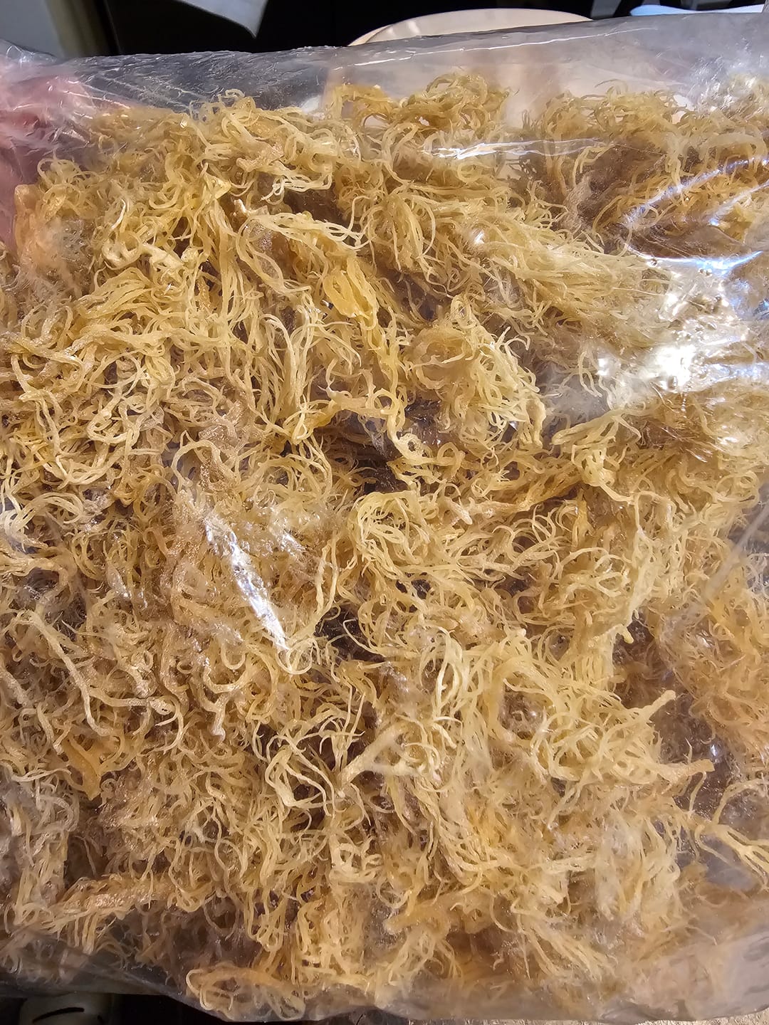 Customer photo review of Wildcrafted Sea Moss from the pristine waters of St. Lucia