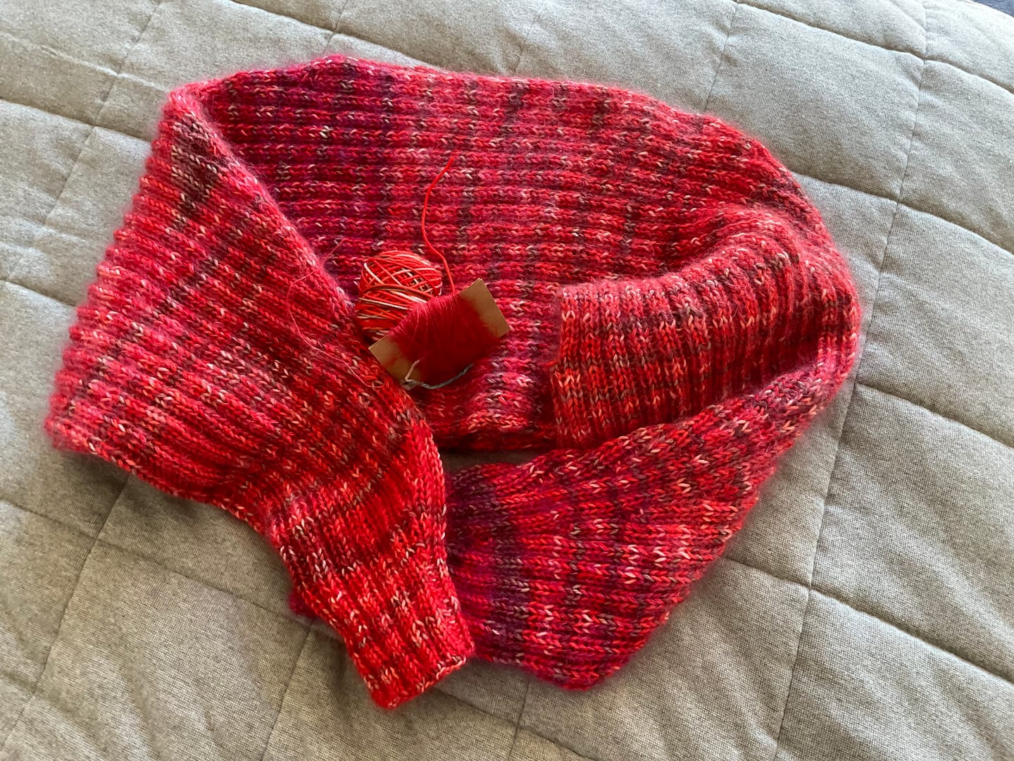 Customer photo review of Alegria  (75% Lana Merino Superwash / 25% Nylon)