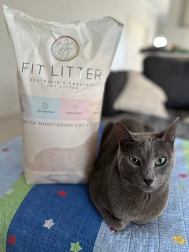 Customer photo review of 3 Month Supply - 2 Cats