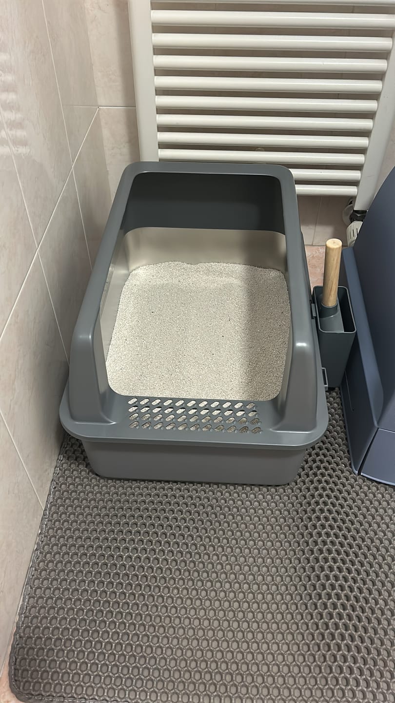 Customer photo review of BORING LITTER - Lettiera in Acciaio INOX