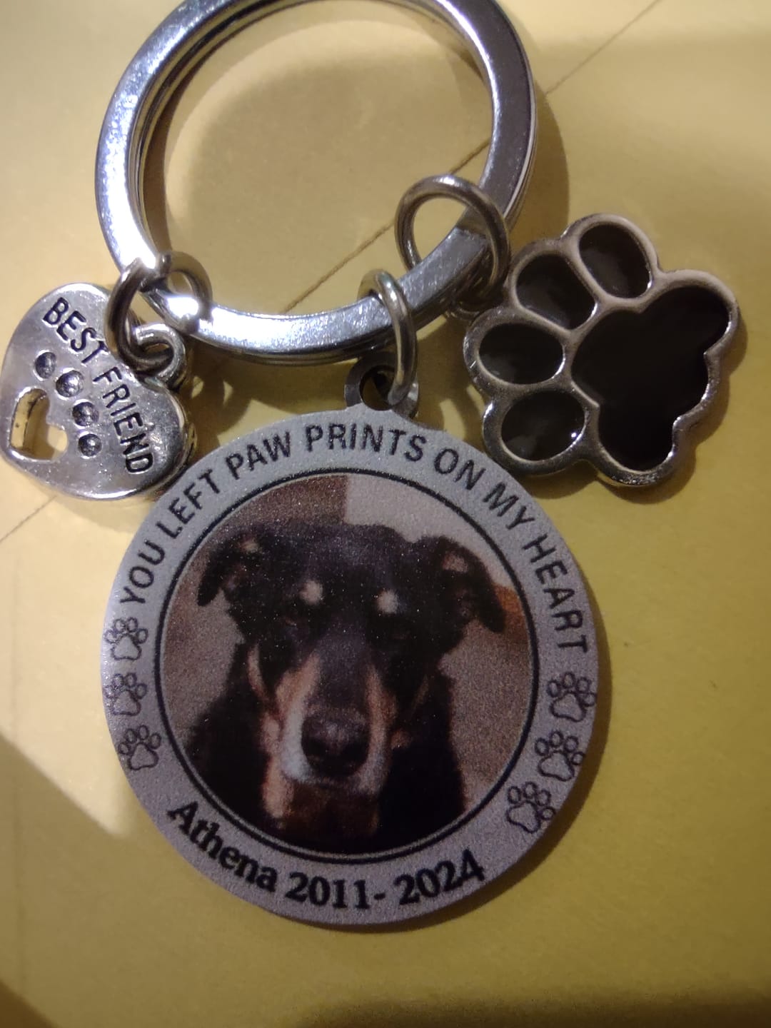 Customer photo review of Custom Personalized Photo Keychain Pet Charm Key Ornaments - Memorial Gift for Dog/Cat Lovers - You left paw prints on my heart
