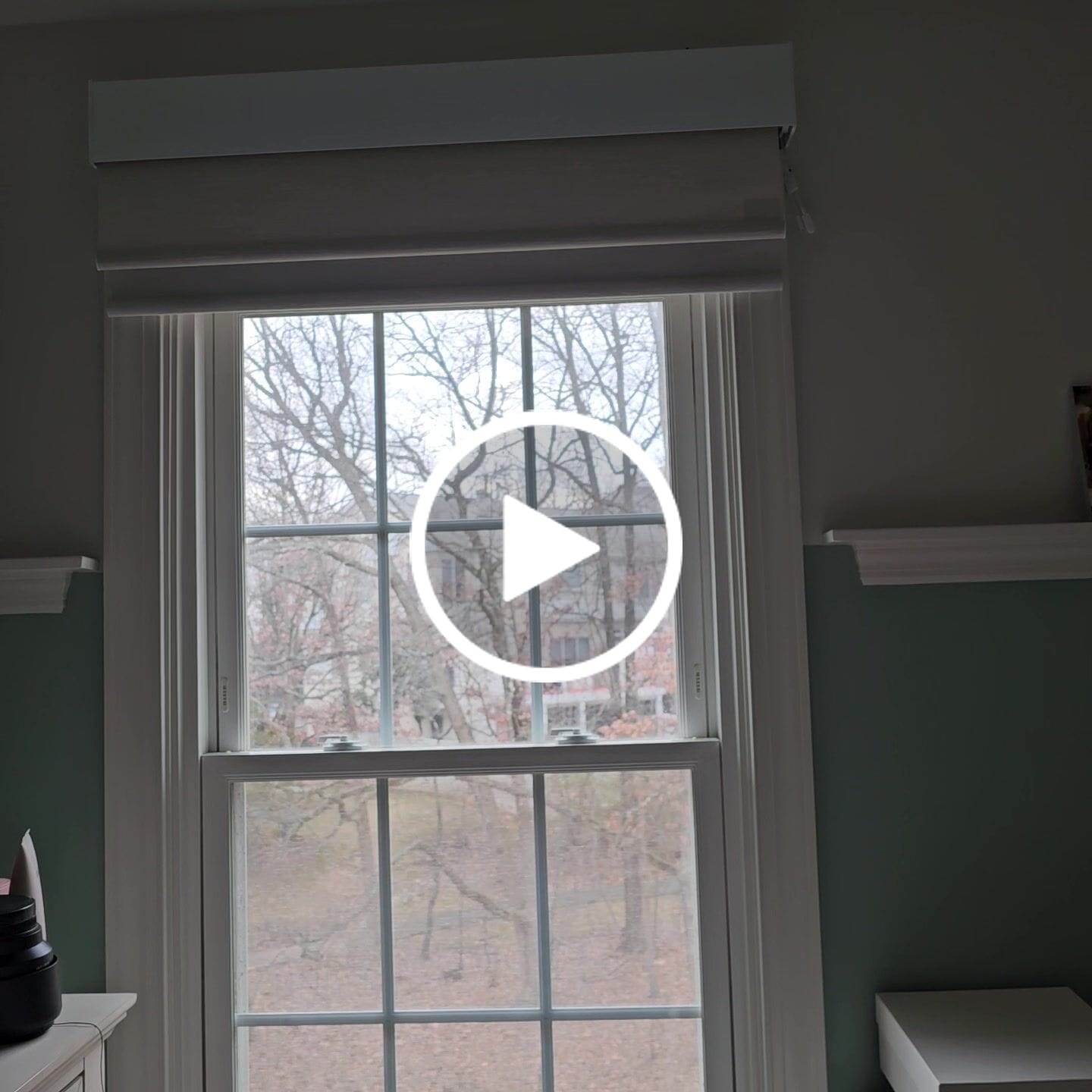 Customer video review of SmartWings Motorized Dual Shade Harmony Duo Plus