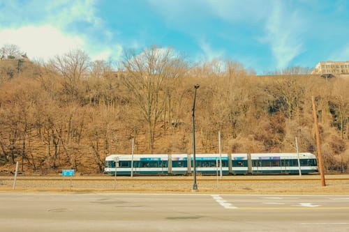 Customer photo review of Wes Anderson Style Preset Collection